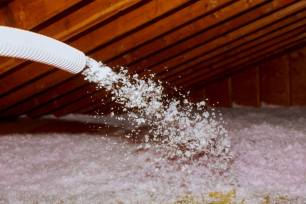 Best Residential Insulation in Ransomville, NY